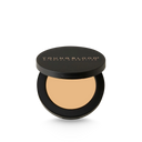 Ultimate Concealer