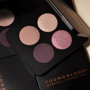 Pressed eyeshadow quad with light rose, mauve shimmer, plum matte, champagne glitter pans