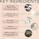 BeyondBlur™ Skin Perfecting Foundation - Youngblood Mineral Cosmetics